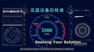 Seelong Company Introduction